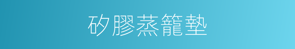 矽膠蒸籠墊的同義詞