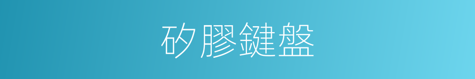 矽膠鍵盤的同義詞