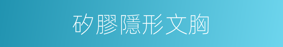 矽膠隱形文胸的同義詞