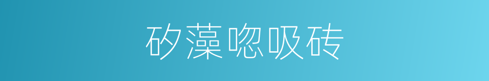 矽藻唿吸砖的同義詞