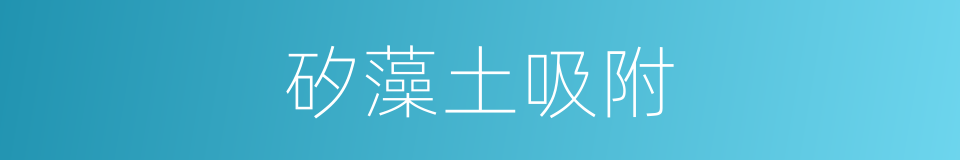 矽藻土吸附的同義詞