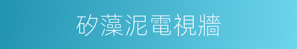 矽藻泥電視牆的同義詞