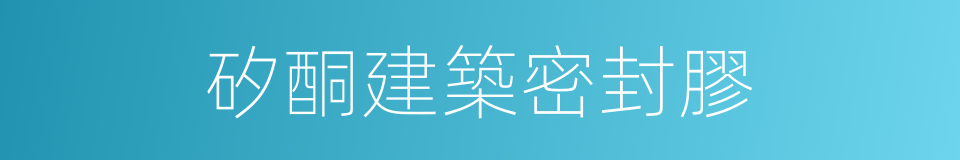 矽酮建築密封膠的同義詞
