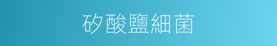 矽酸鹽細菌的同義詞