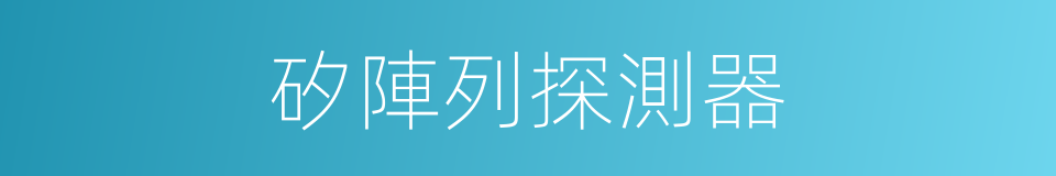 矽陣列探測器的同義詞