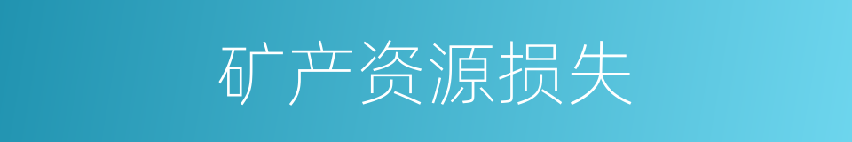 矿产资源损失的同义词