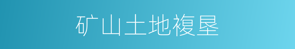 矿山土地複垦的同义词