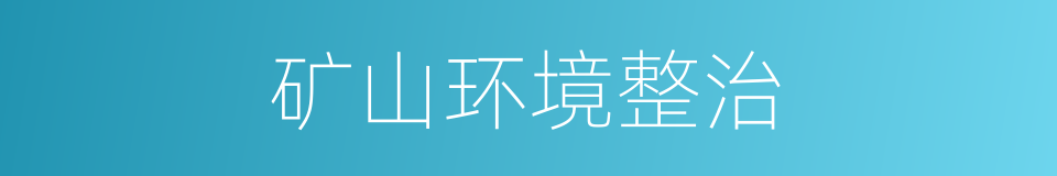 矿山环境整治的同义词
