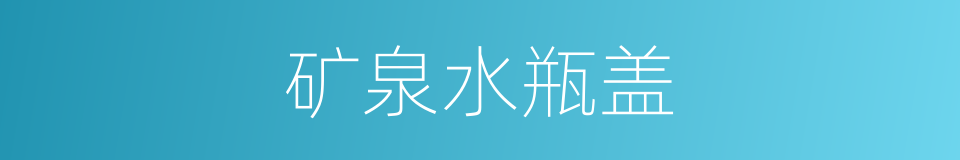 矿泉水瓶盖的同义词
