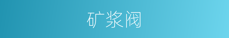 矿浆阀的同义词
