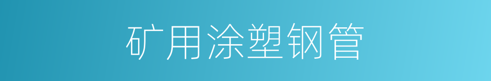 矿用涂塑钢管的同义词
