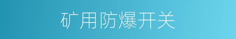 矿用防爆开关的同义词