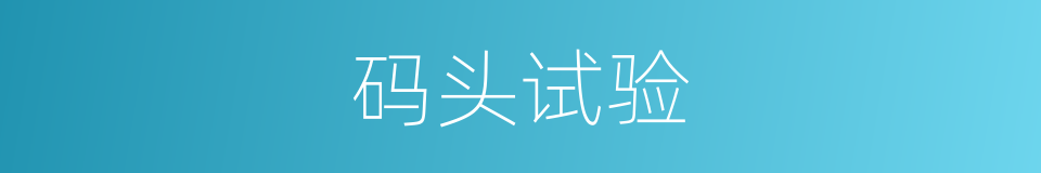 码头试验的同义词