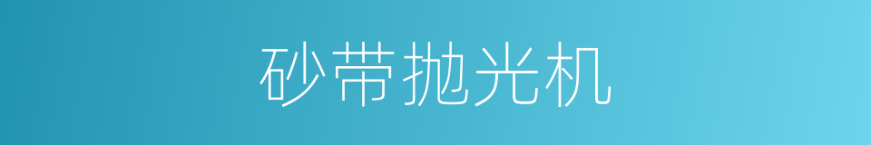 砂带抛光机的同义词