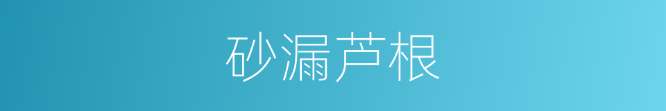 砂漏芦根的同义词