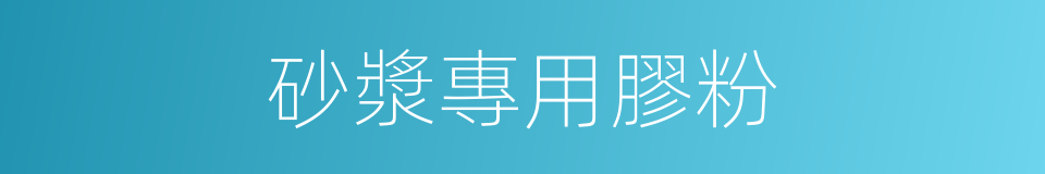 砂漿專用膠粉的同義詞