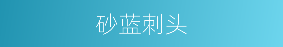 砂蓝刺头的同义词