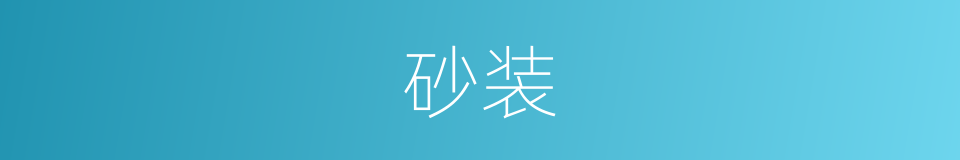 砂装的同义词