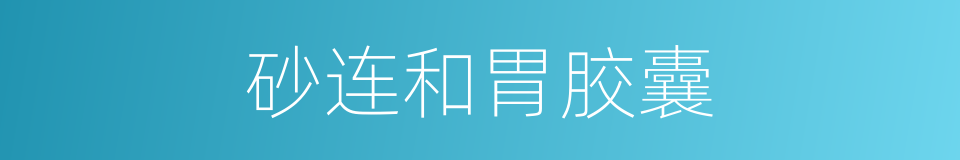 砂连和胃胶囊的同义词