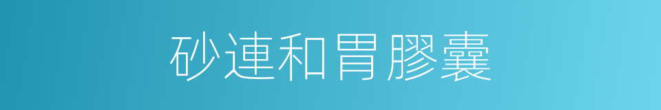 砂連和胃膠囊的同義詞