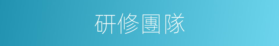 研修團隊的同義詞