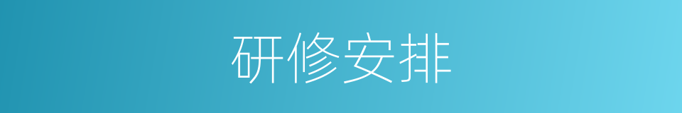 研修安排的同义词