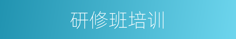 研修班培训的同义词
