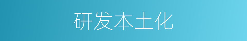 研发本土化的同义词