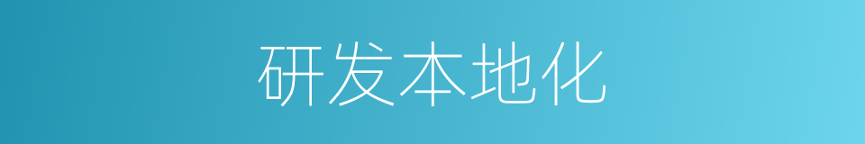 研发本地化的同义词