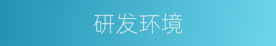 研发环境的同义词