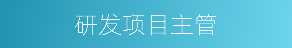 研发项目主管的同义词
