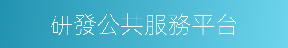 研發公共服務平台的同義詞