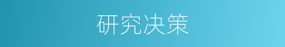 研究决策的同义词