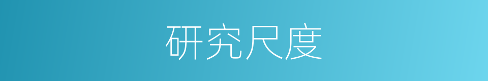 研究尺度的同义词