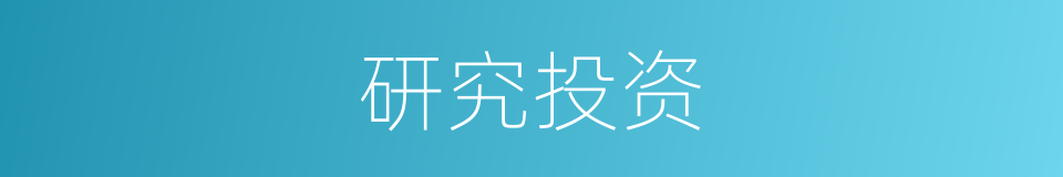 研究投资的同义词
