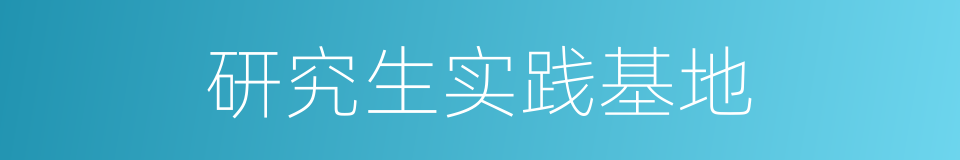 研究生实践基地的同义词