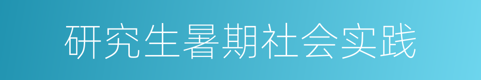 研究生暑期社会实践的同义词