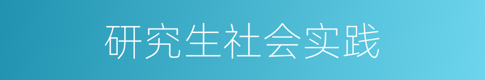 研究生社会实践的同义词