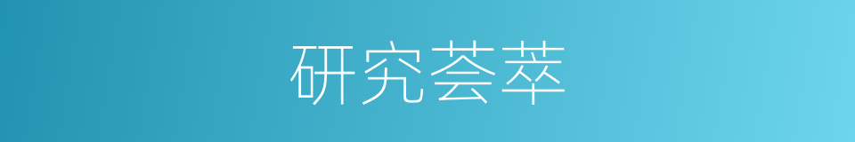 研究荟萃的同义词