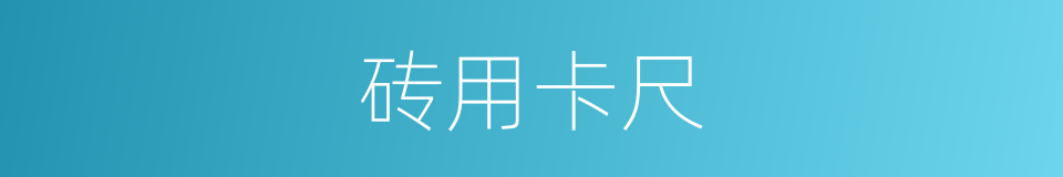 砖用卡尺的同义词