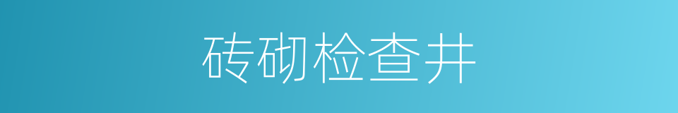 砖砌检查井的同义词