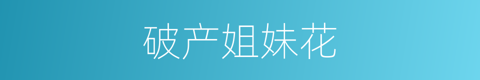 破产姐妹花的同义词