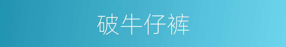 破牛仔裤的同义词