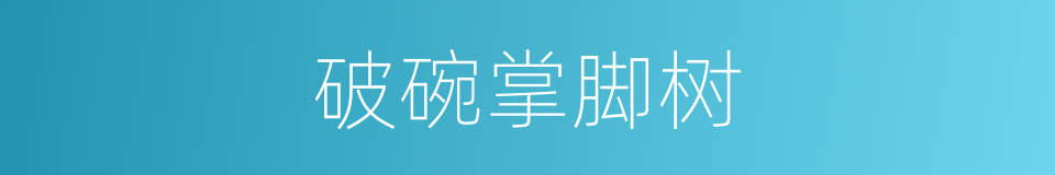 破碗掌脚树的同义词