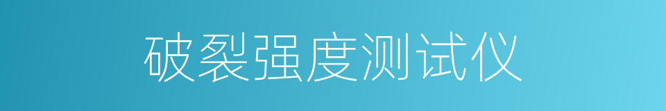 破裂强度测试仪的同义词