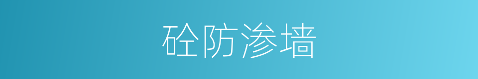 砼防渗墙的同义词