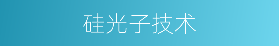 硅光子技术的同义词