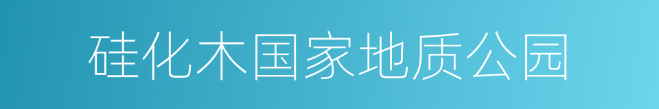 硅化木国家地质公园的同义词