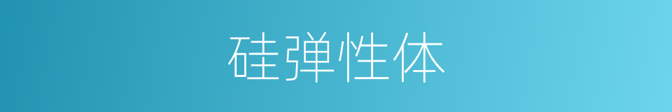 硅弹性体的同义词