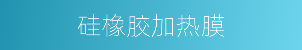 硅橡胶加热膜的同义词